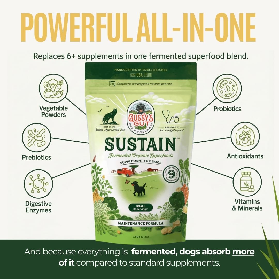 Gussy's Gut Sustain fermentation process illustration showcasing bioavailability boost.