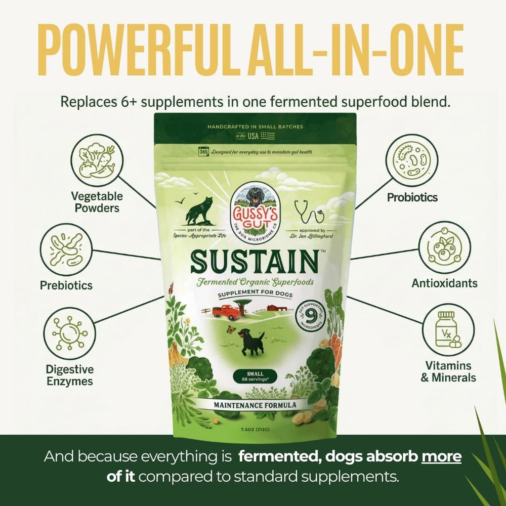 Gussy's Gut Sustain fermentation process illustration showcasing bioavailability boost.