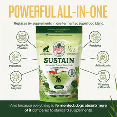 Gussy's Gut Sustain fermentation process illustration showcasing bioavailability boost.