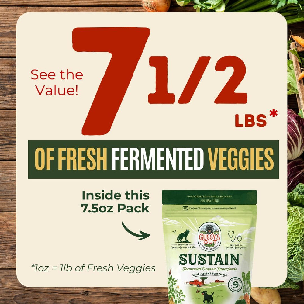 Gussy's Gut Sustain broccoli element supports fiber intake for digestion.