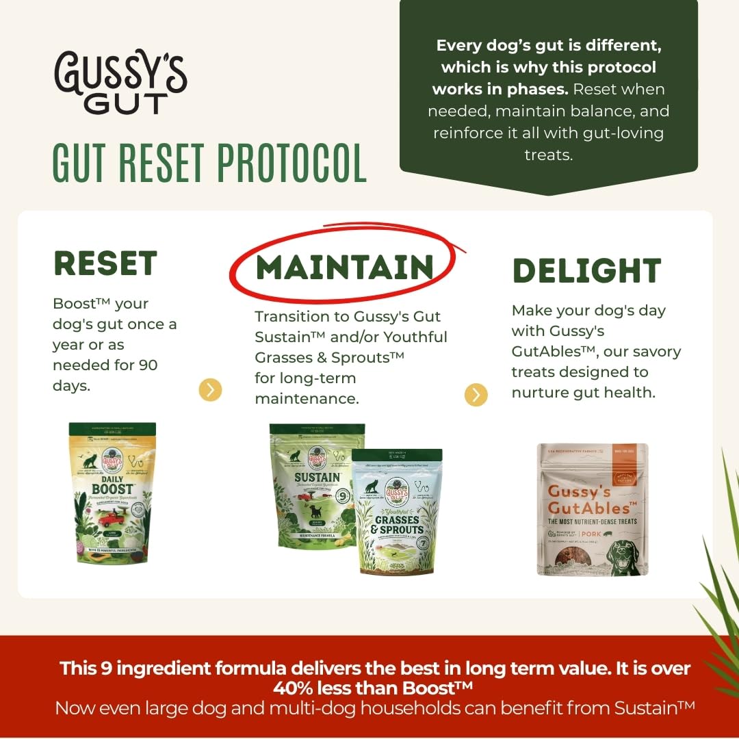 Gussy's Gut Sustain powder jar highlighting nutrient-dense formula for dogs.