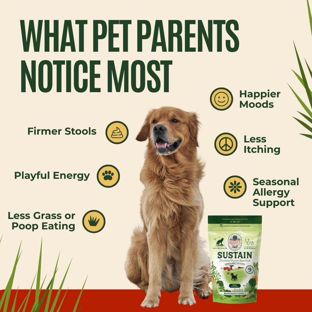 Gussy's Gut Sustain USA-sourced ingredients ensure quality.