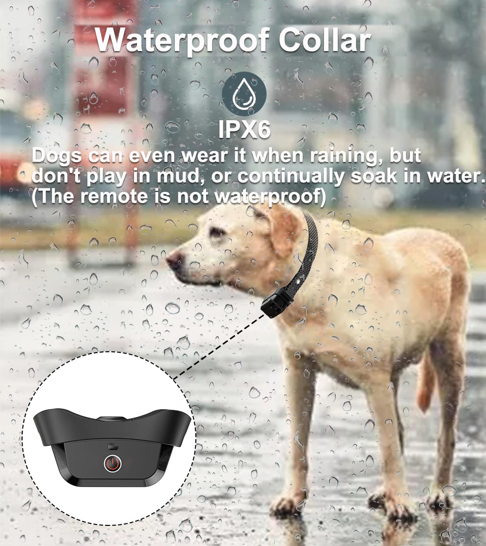 Gutes Leben dual-collar capable system manages two dogs with one remote.