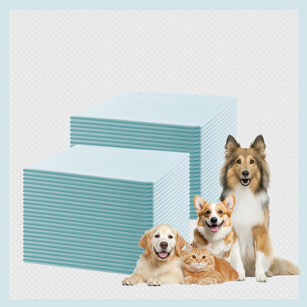 GWT Puppy Pads leak-proof surface for reliable indoor potty training.