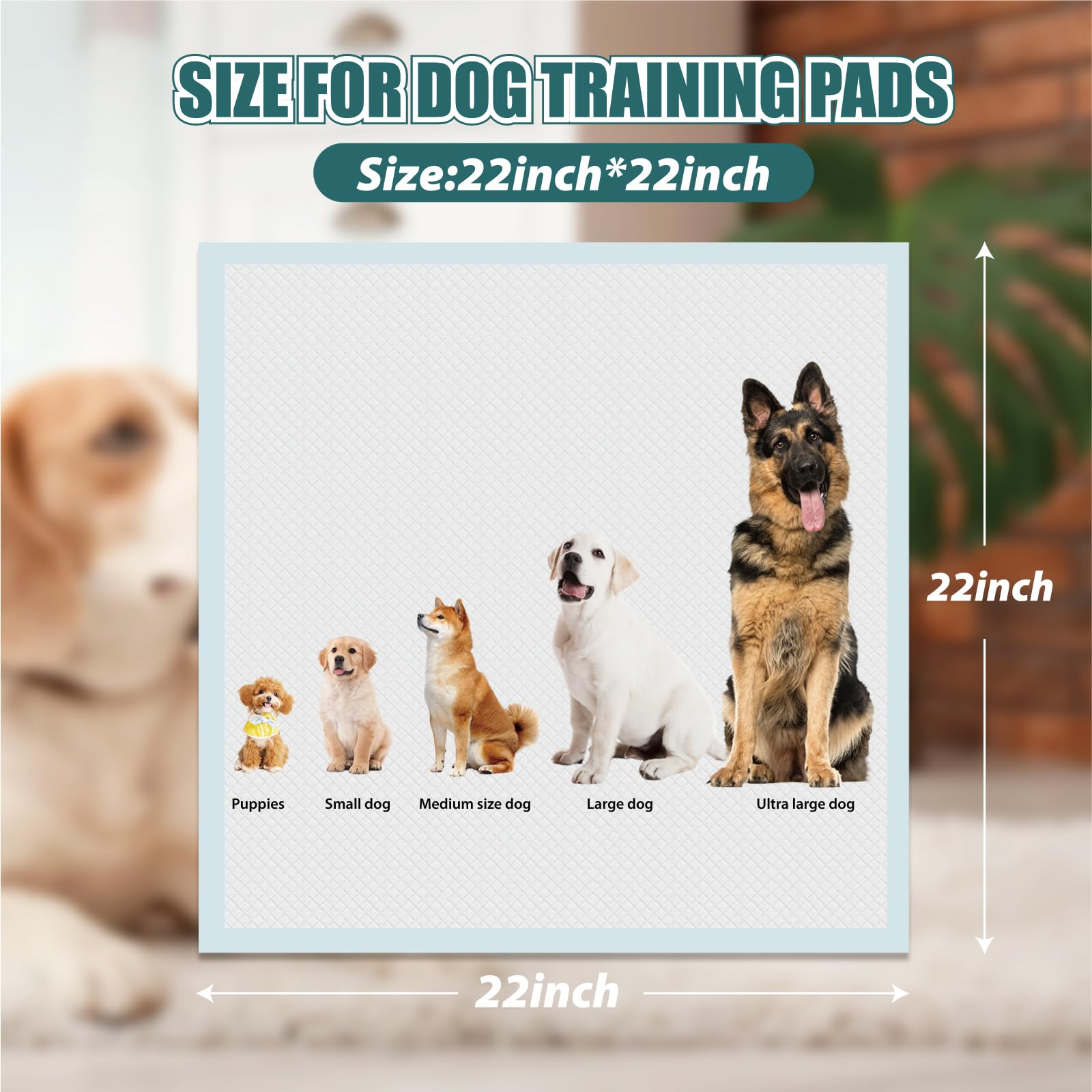 GWT Puppy Pads five-layer design enhances absorbency during use.