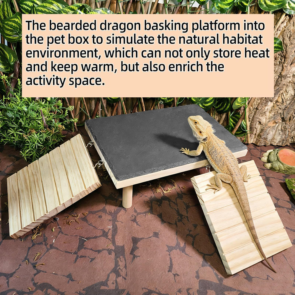 Gxsdj terrarium multi-functional platform in action for reptiles.