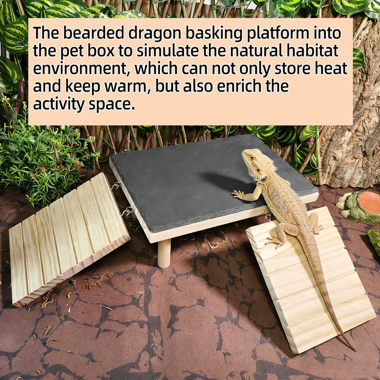 Gxsdj wooden ramp texture on reptile platform