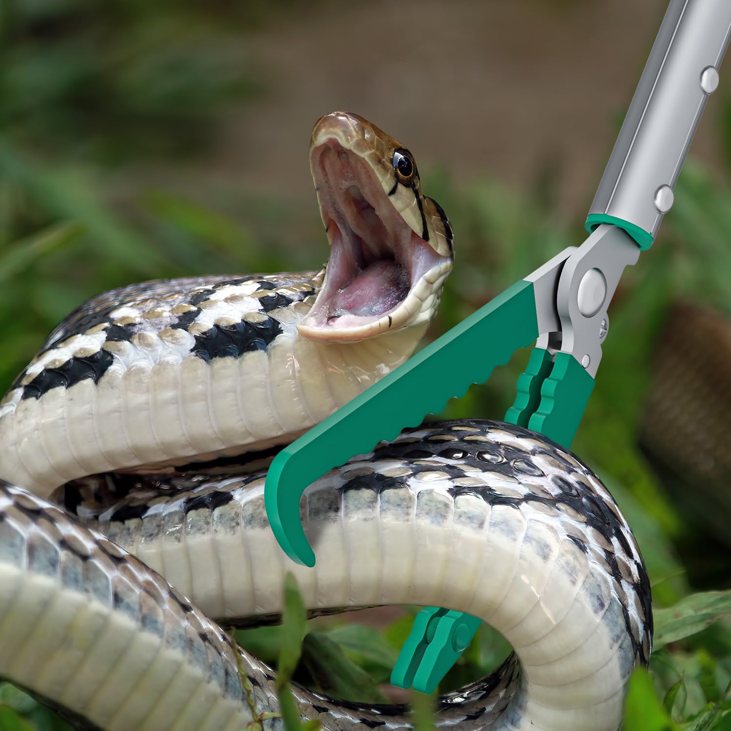 GYORGKSHI no-harm grip reduces stress during relocation of reptiles.