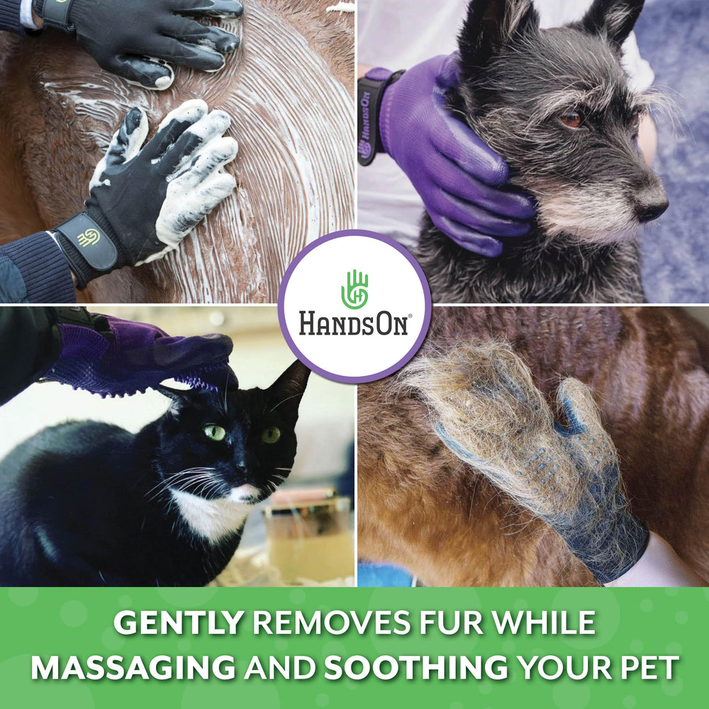 H HANDSON pet gloves used on a dog for soothing brushing and fur removal.