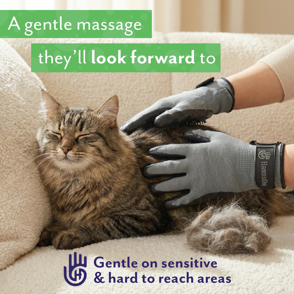 H HANDSON durable grooming gloves built for frequent cleaning and reuse.