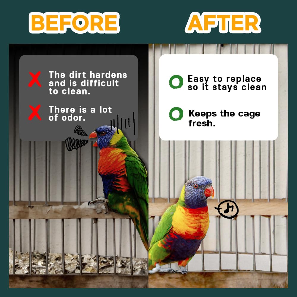 HA SHI absorption design keeps the cage floor dry and easy to monitor.