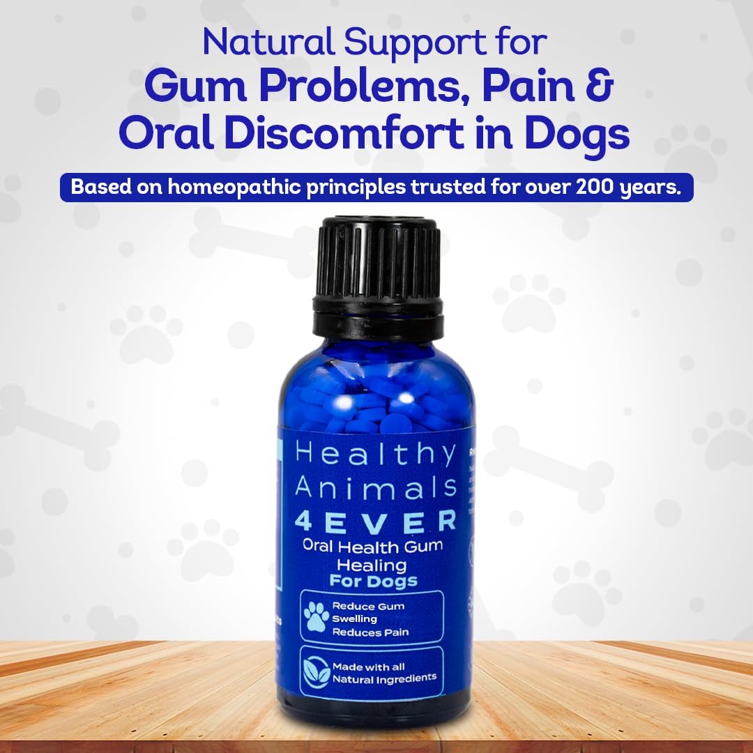 HA4E dog oral health pellets dissolving in water for easy administration.