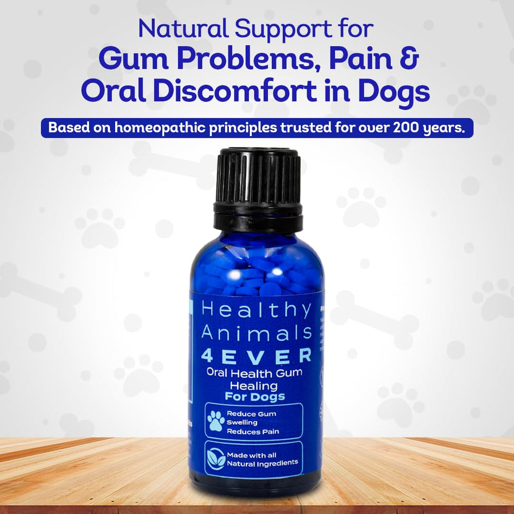HA4E dog oral health pellets dissolving in water for easy administration.