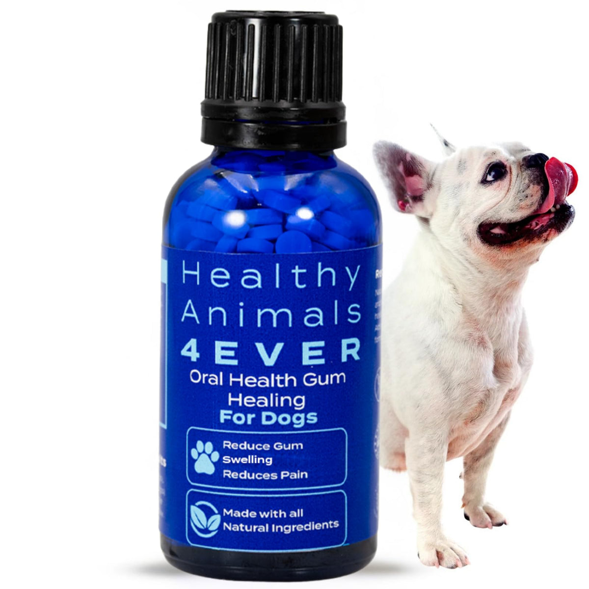HA4E dog oral health pellets dissolving in water for easy administration.