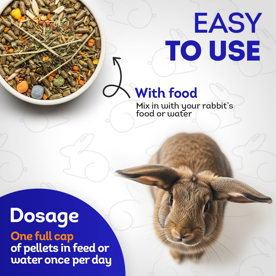 HealthyAnimals4Ever HA4E-preventive-care-visual highlights proactive breathing wellness.