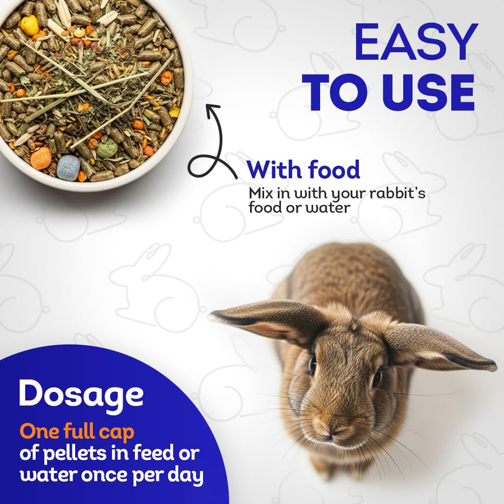 HealthyAnimals4Ever HA4E-preventive-care-visual highlights proactive breathing wellness.