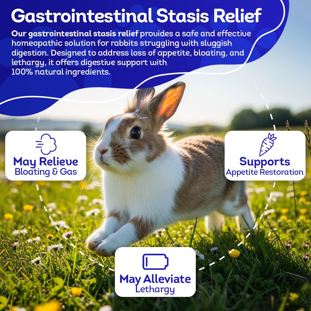 HA4E tablets served with rabbit food for gentle daily support.
