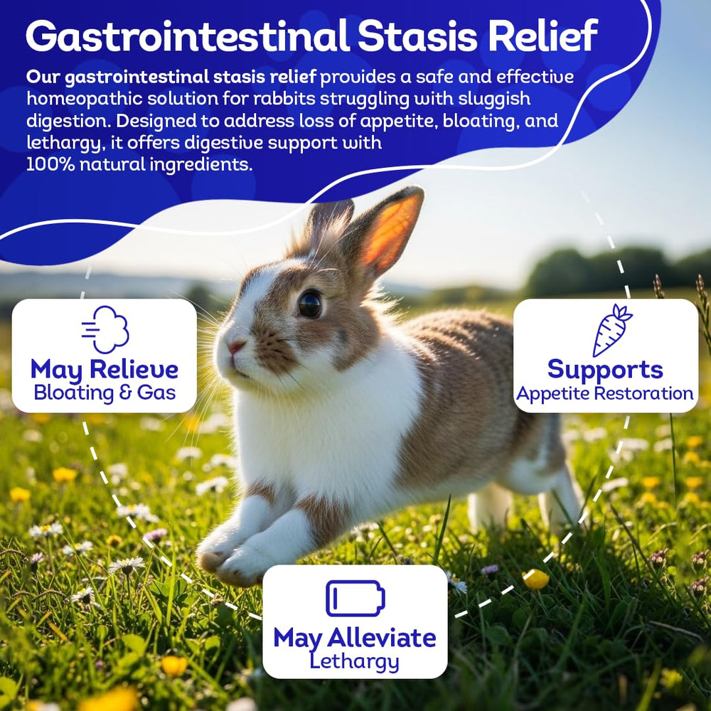 HA4E tablets served with rabbit food for gentle daily support.