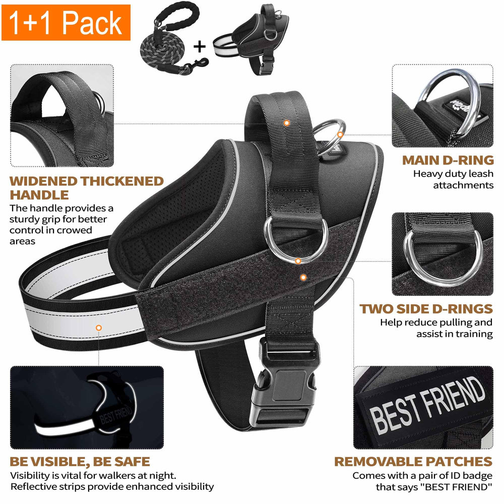 Haapaw Harness showing 3 leash clips for versatile attachment points