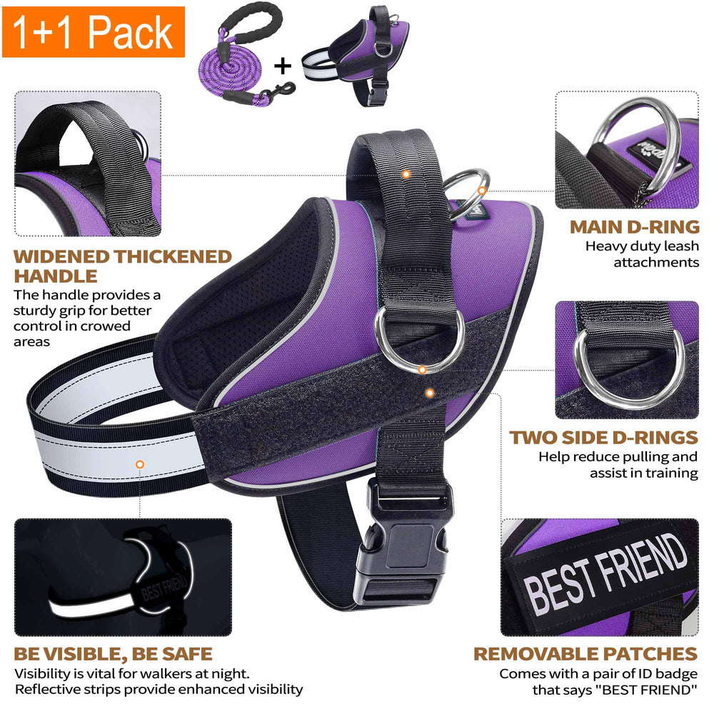 Haapaw harness with three rings clearly shows options for no-pull training and varied leash setup.