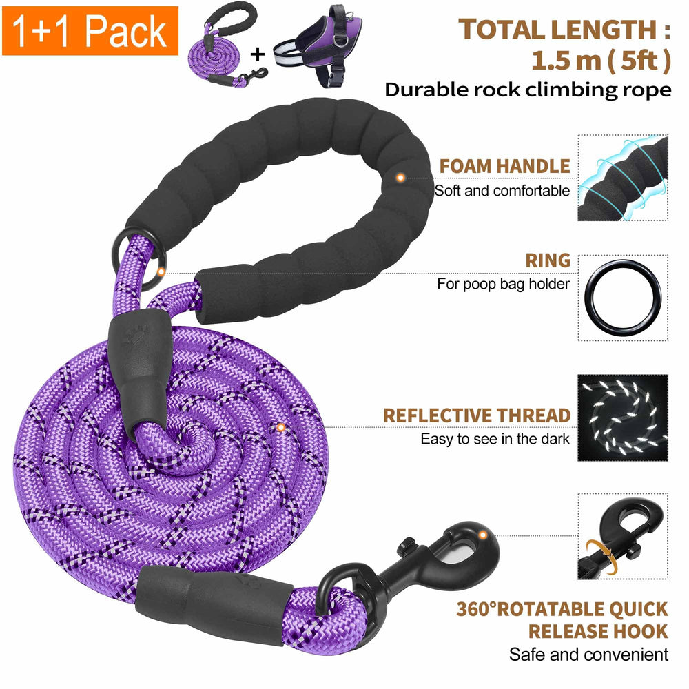 Haapaw included leash image shows foam grip and tangle-free hook for safer daily walks.