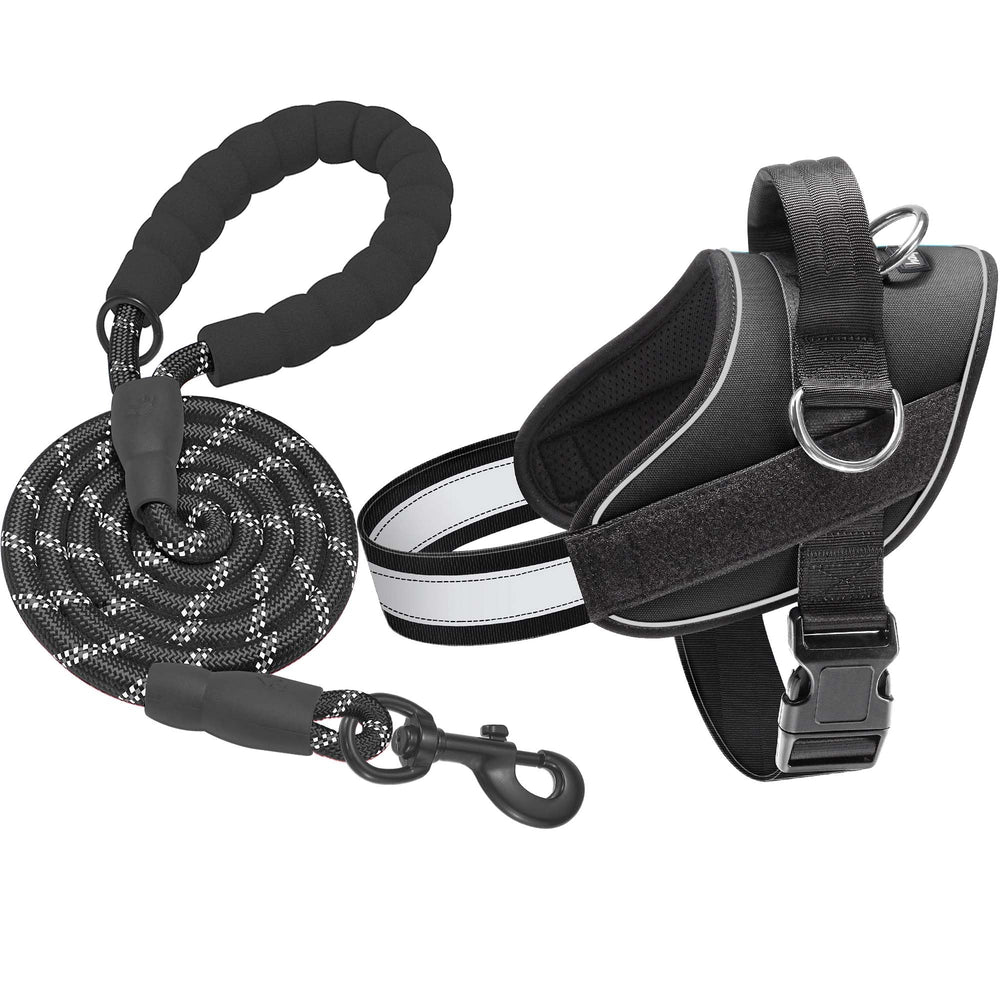 Haapaw Essential Dog Harness with no-pull design for better walks and control