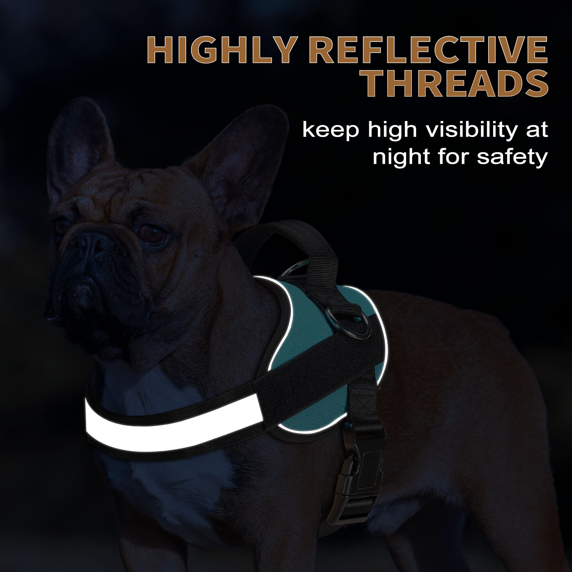Haapaw harness padded handle offers comfortable grip during control