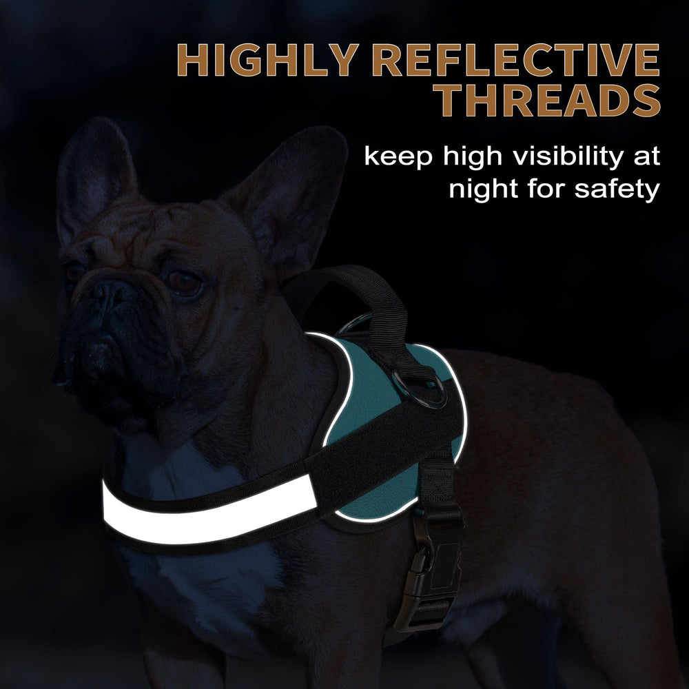 Haapaw harness padded handle offers comfortable grip during control
