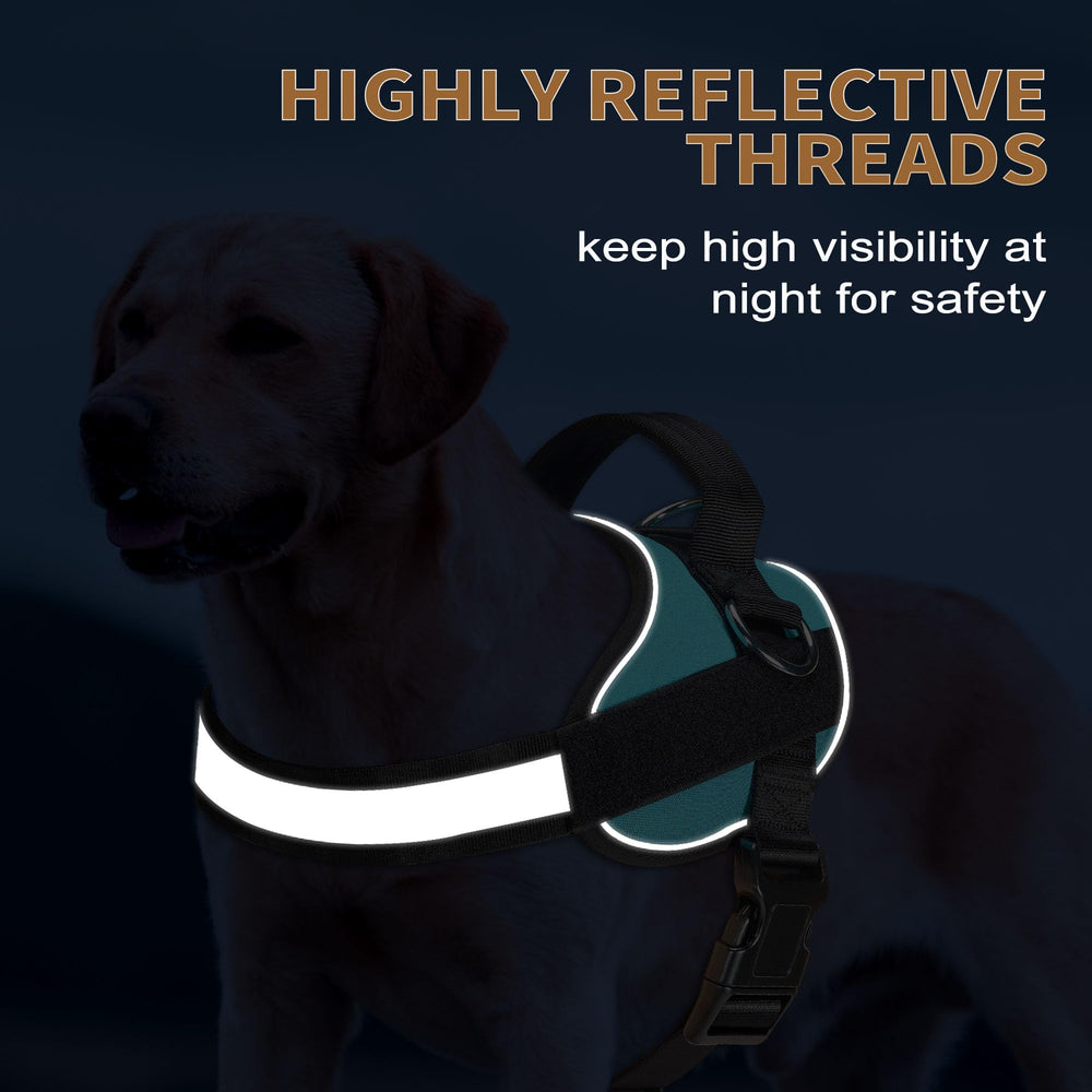 Haapaw Essential Dog Harness padded handle reduces hand fatigue.