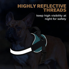 Haapaw harness padded handle offers comfortable grip during control