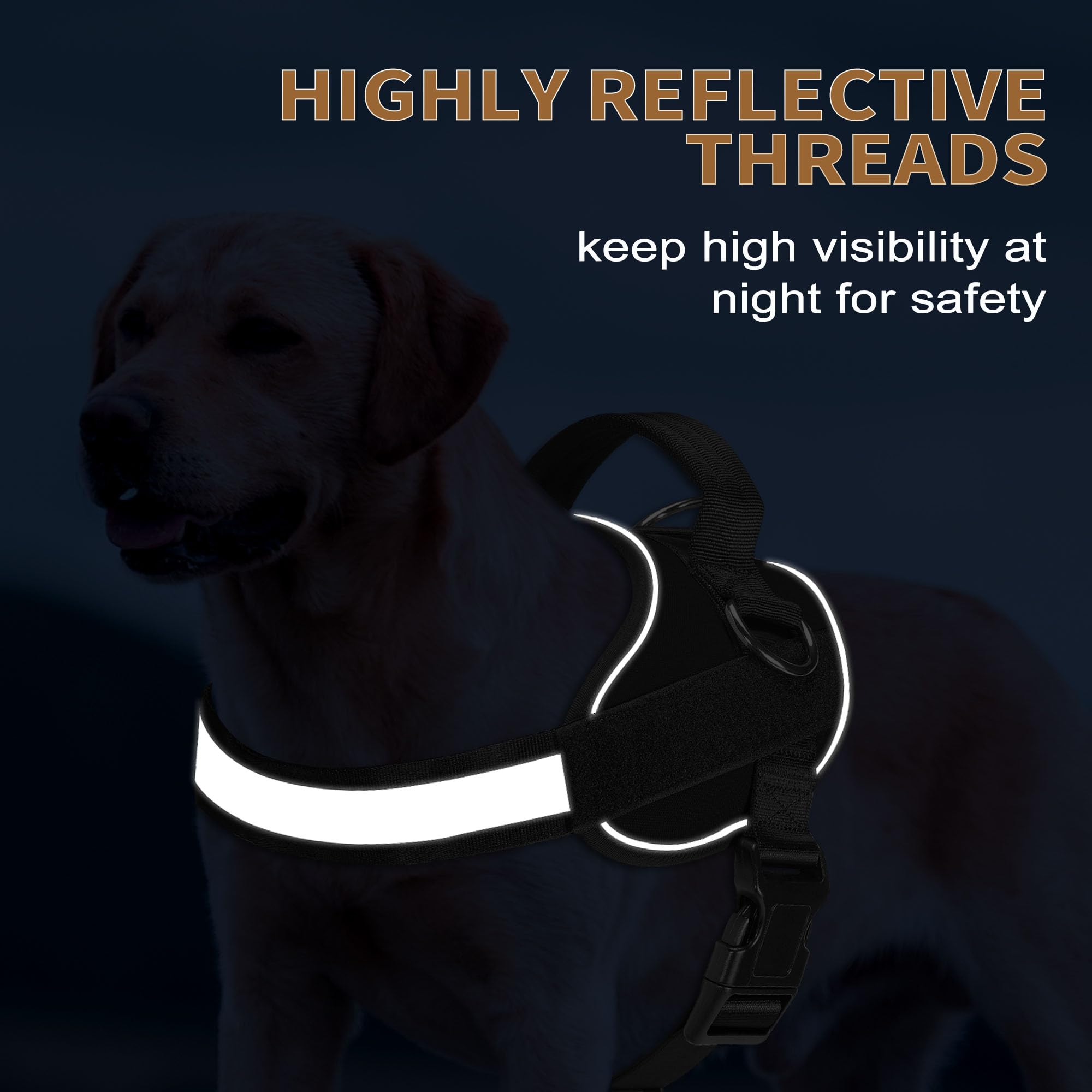 Haapaw Harness focused on the widened padded handle for comfortable grip