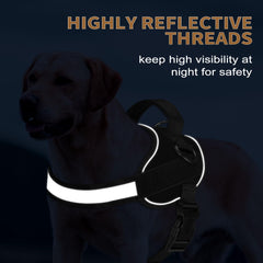 Haapaw Harness focused on the widened padded handle for comfortable grip