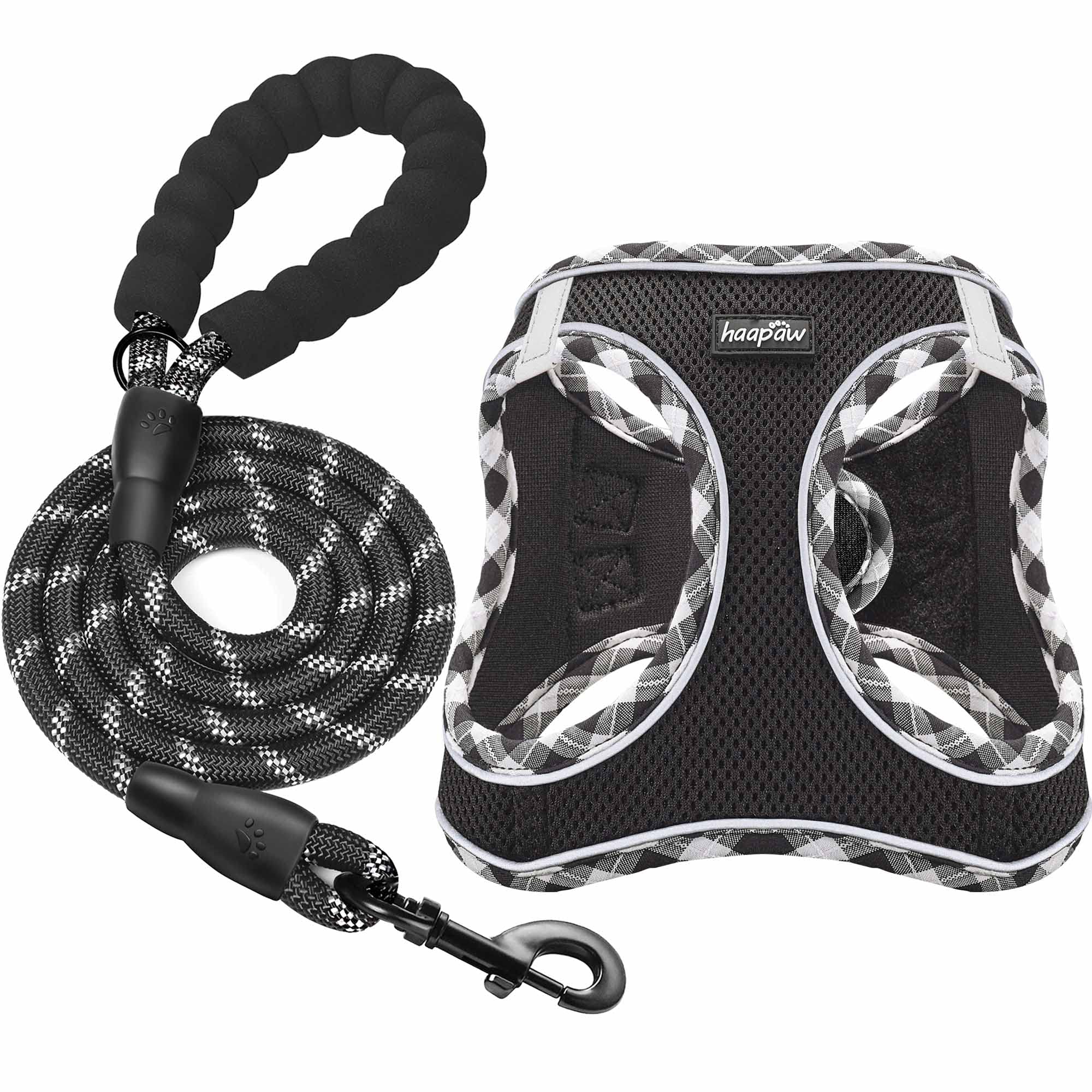 haapaw harness and leash set shown for convenient all-in-one purchase.