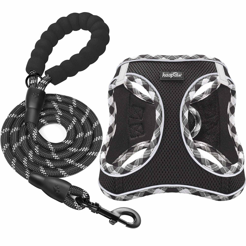 haapaw harness and leash set shown for convenient all-in-one purchase.
