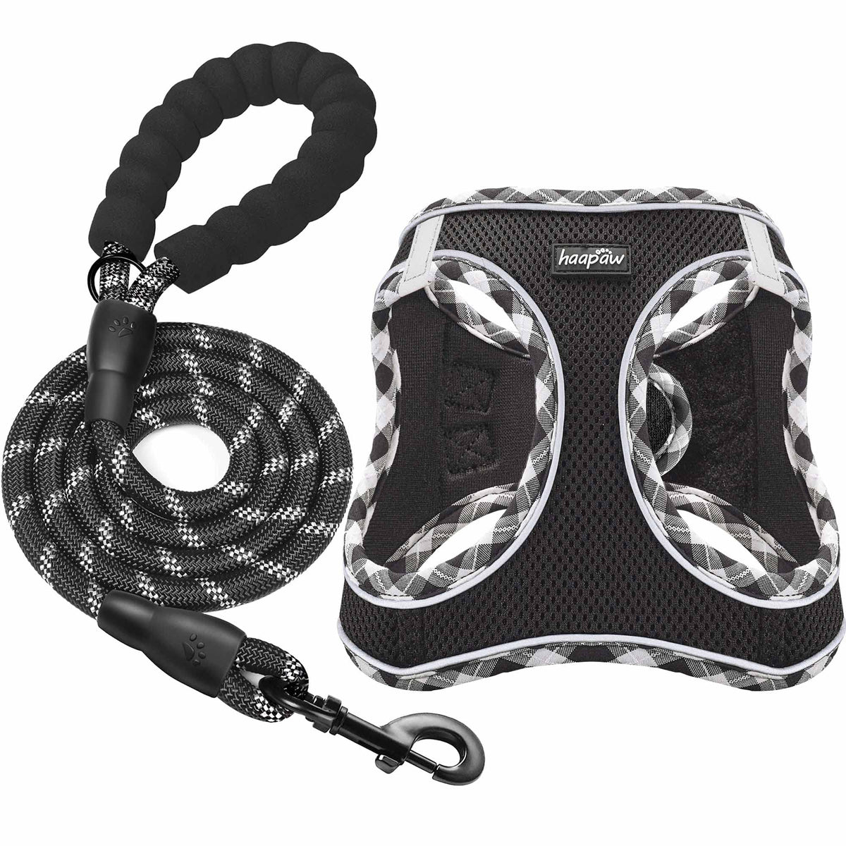 haapaw harness and leash set shown for convenient all-in-one purchase.