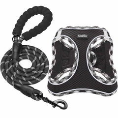 haapaw harness and leash set shown for convenient all-in-one purchase.