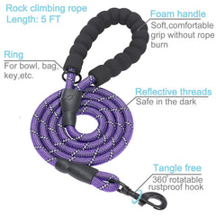 haapaw Martingale collar showing durable nylon webbing and hardware