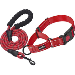 haapaw martingale collar with quick-release buckle offers training control on walks.