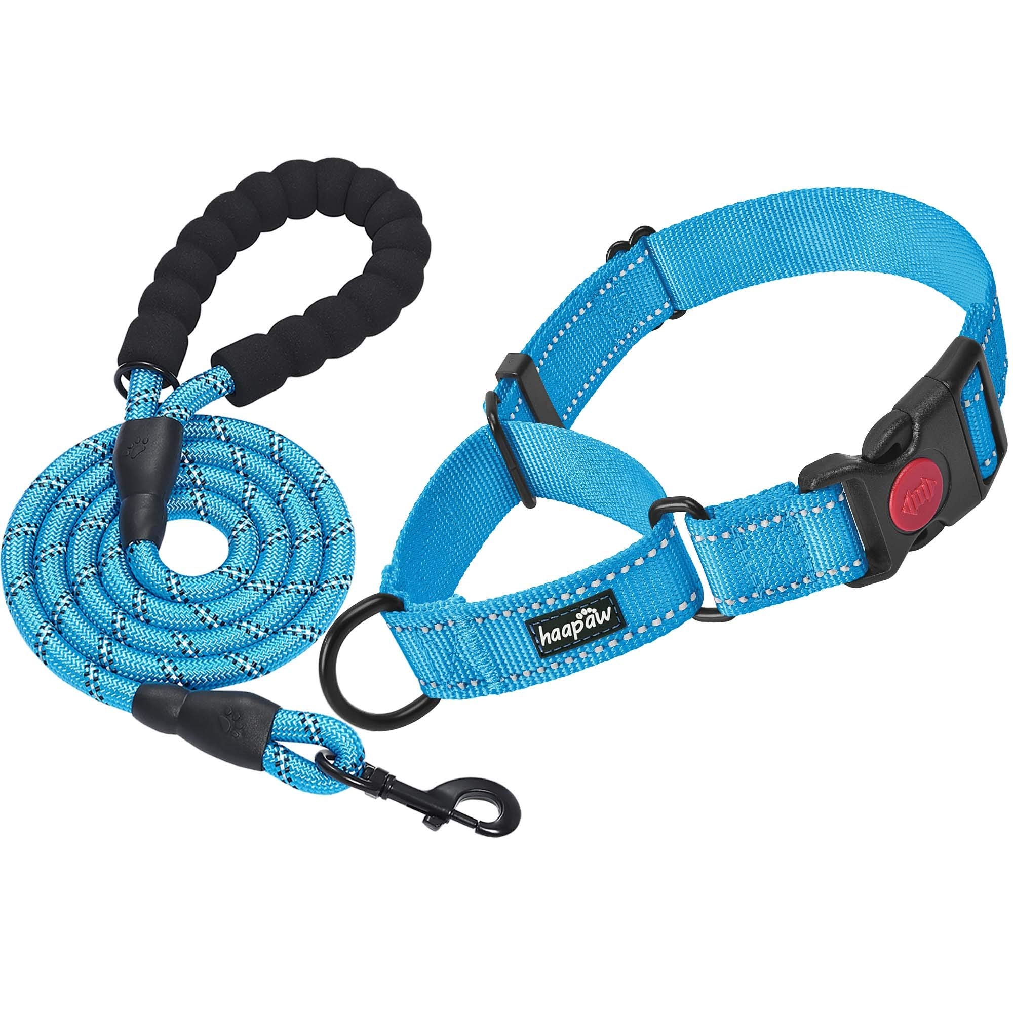 haapaw martingale collar with quick release buckle for secure daily walking