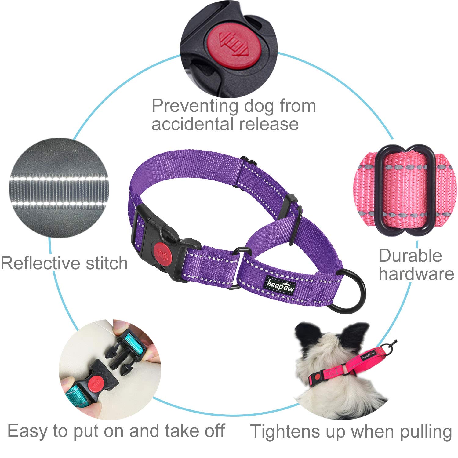haapaw reflective piping visible at night for safer dog walking