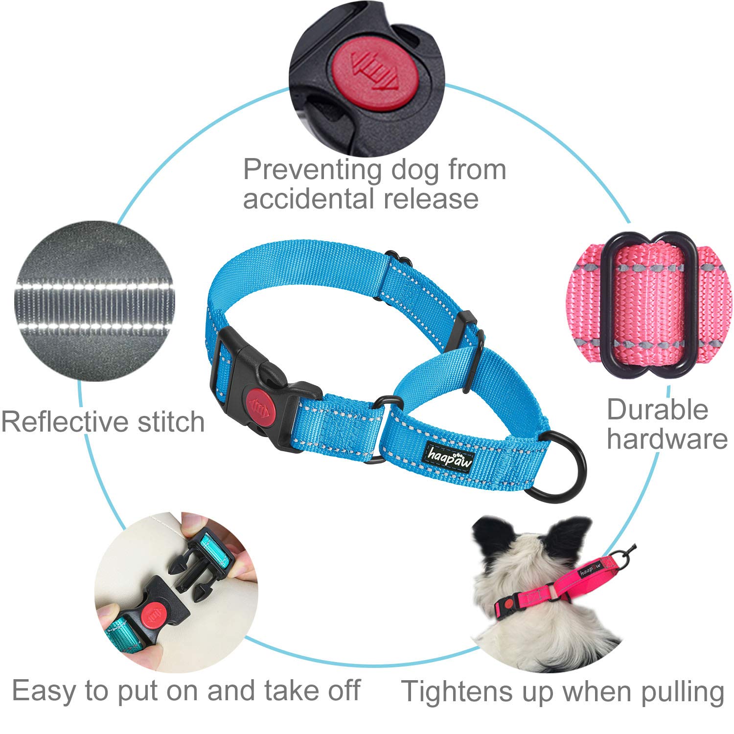 haapaw martingale collar with reflective piping for night visibility
