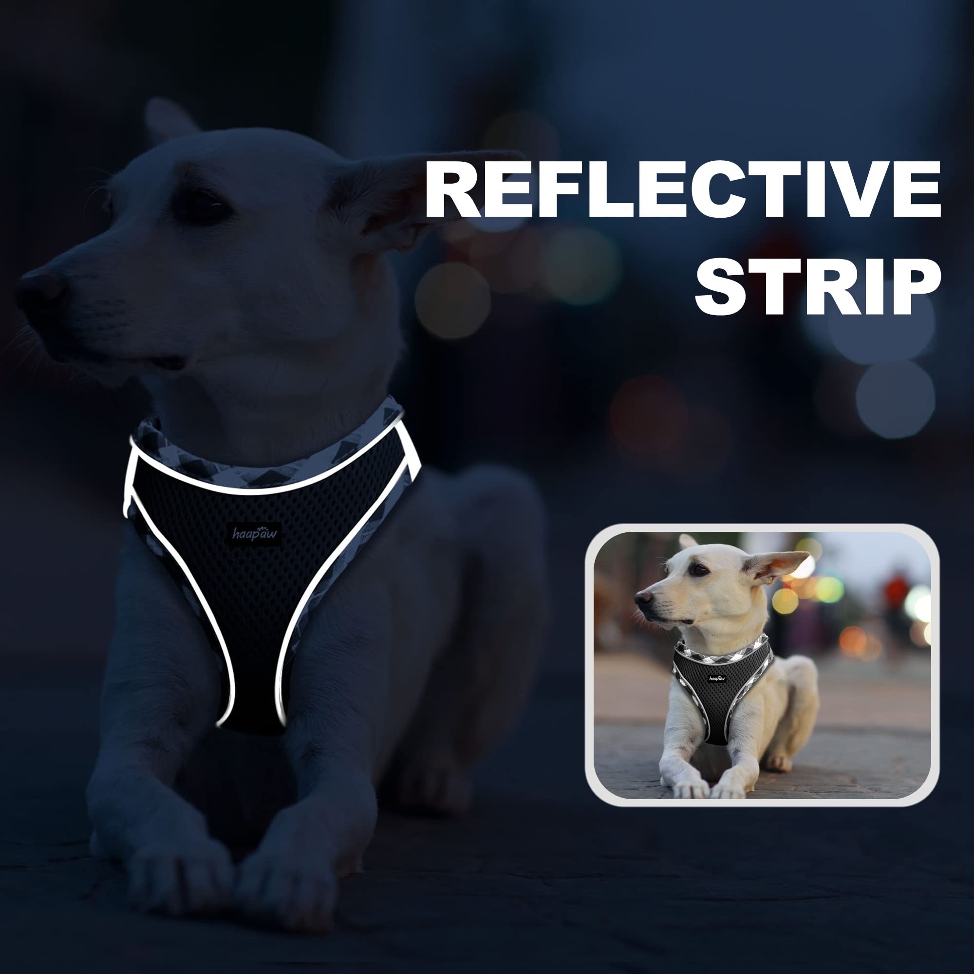 haapaw step-in design for quick and comfortable on/off use.