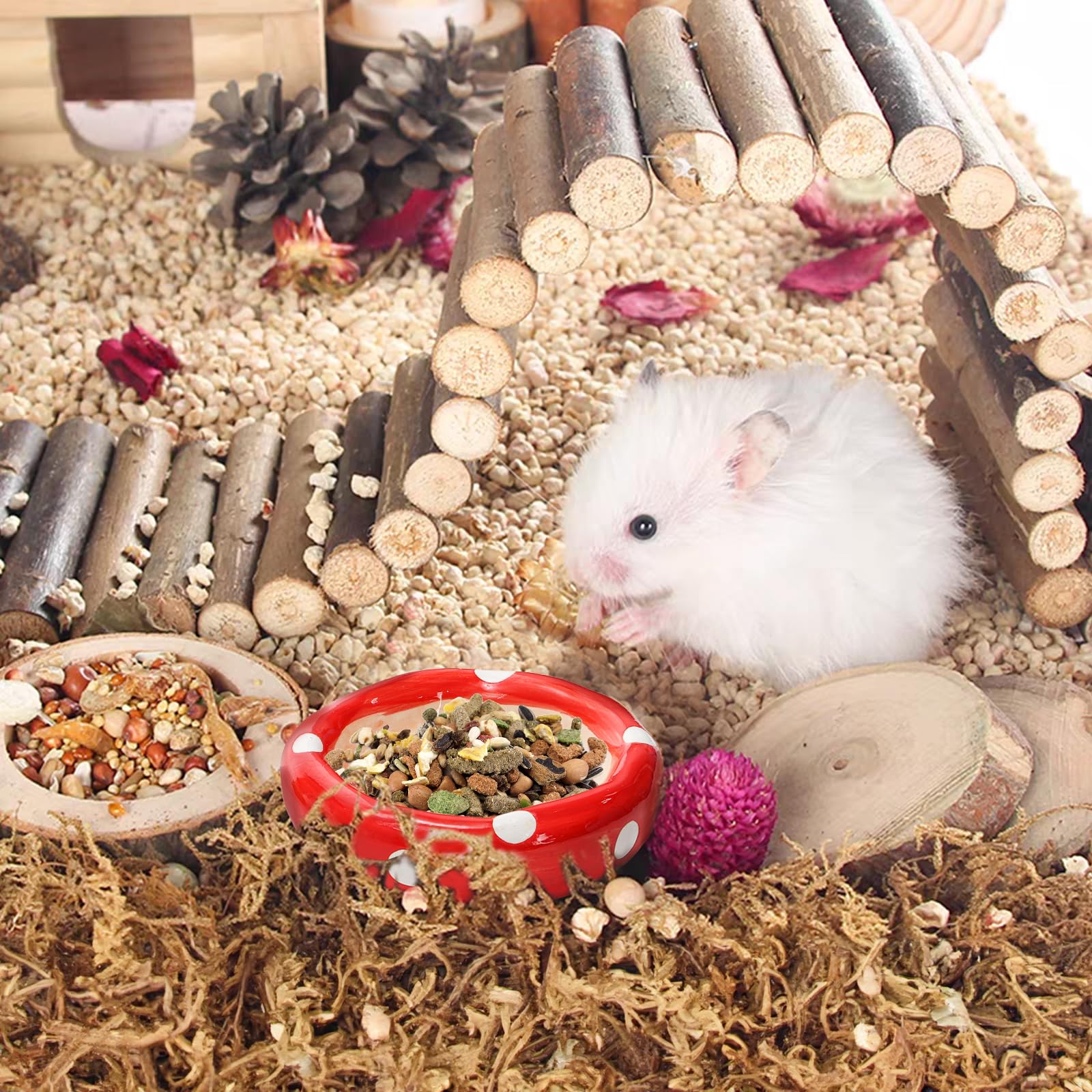 Hacaroa complete set for nest, feed, and drink needs in small cages