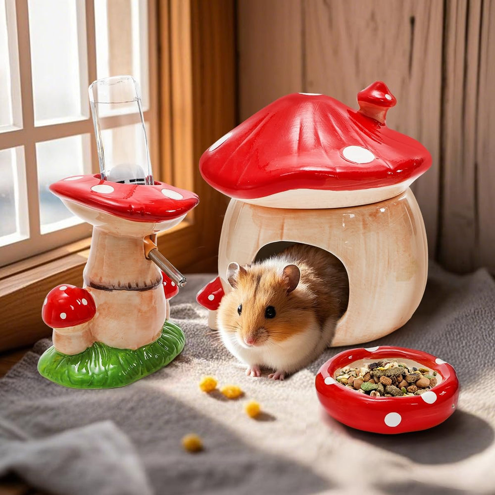 Hacaroa compact hideout helps small pets feel secure during rest