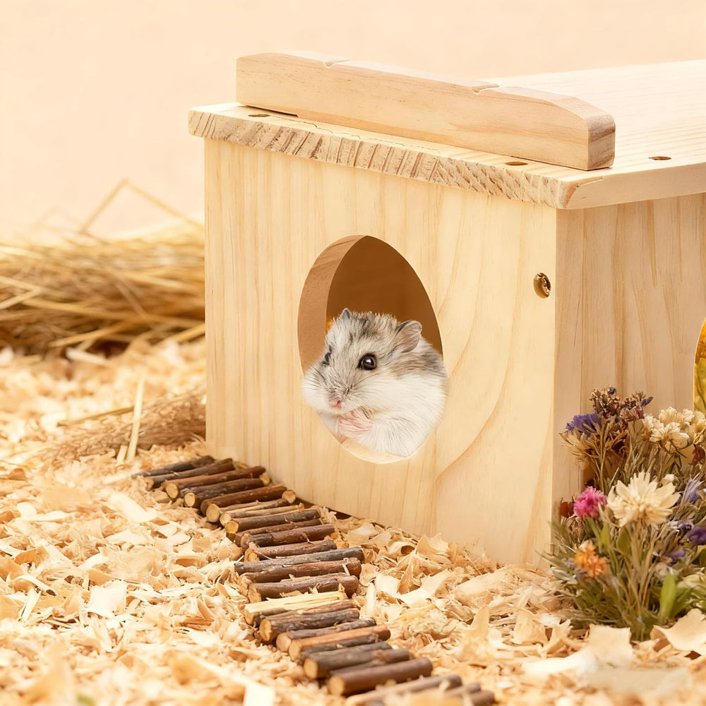 Hacaroa compact hideout fits most cages without crowding.