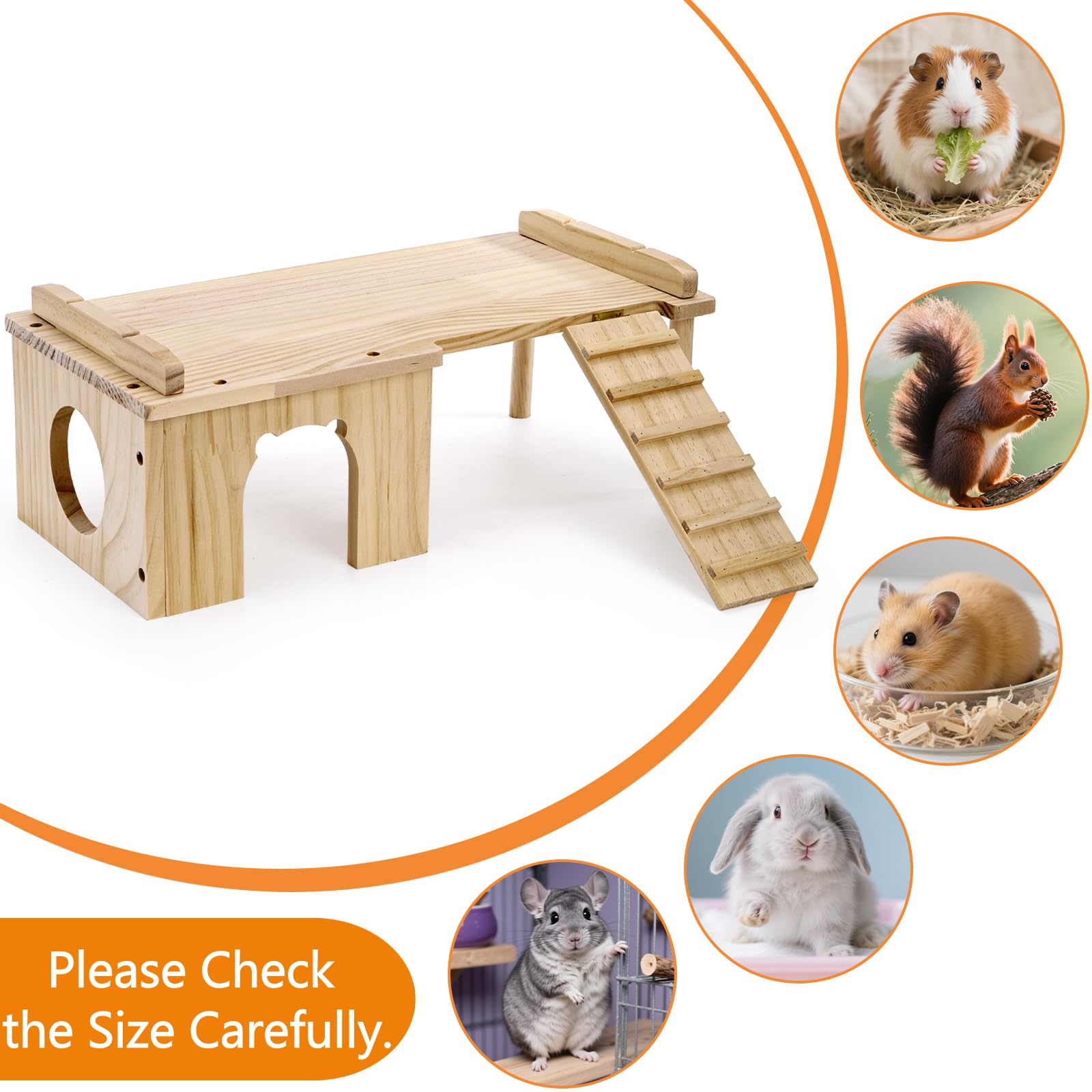 Hacaroa small-pet climbing toy enhances activity and curiosity.