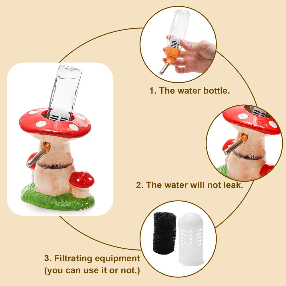 Hacaroa durable ceramic setup is easy to clean and chew-resistant