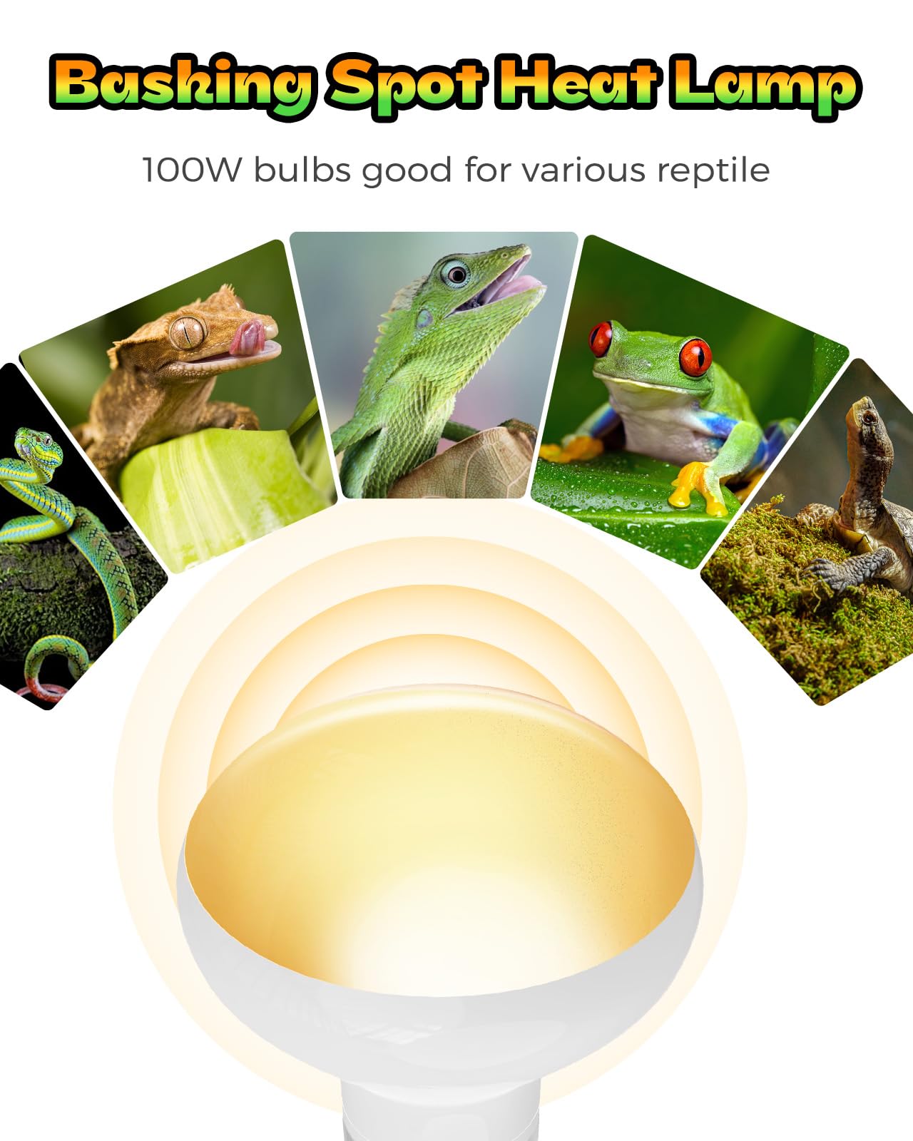Haceryc bearded dragon friendly bulb supports healthy basking behavior.