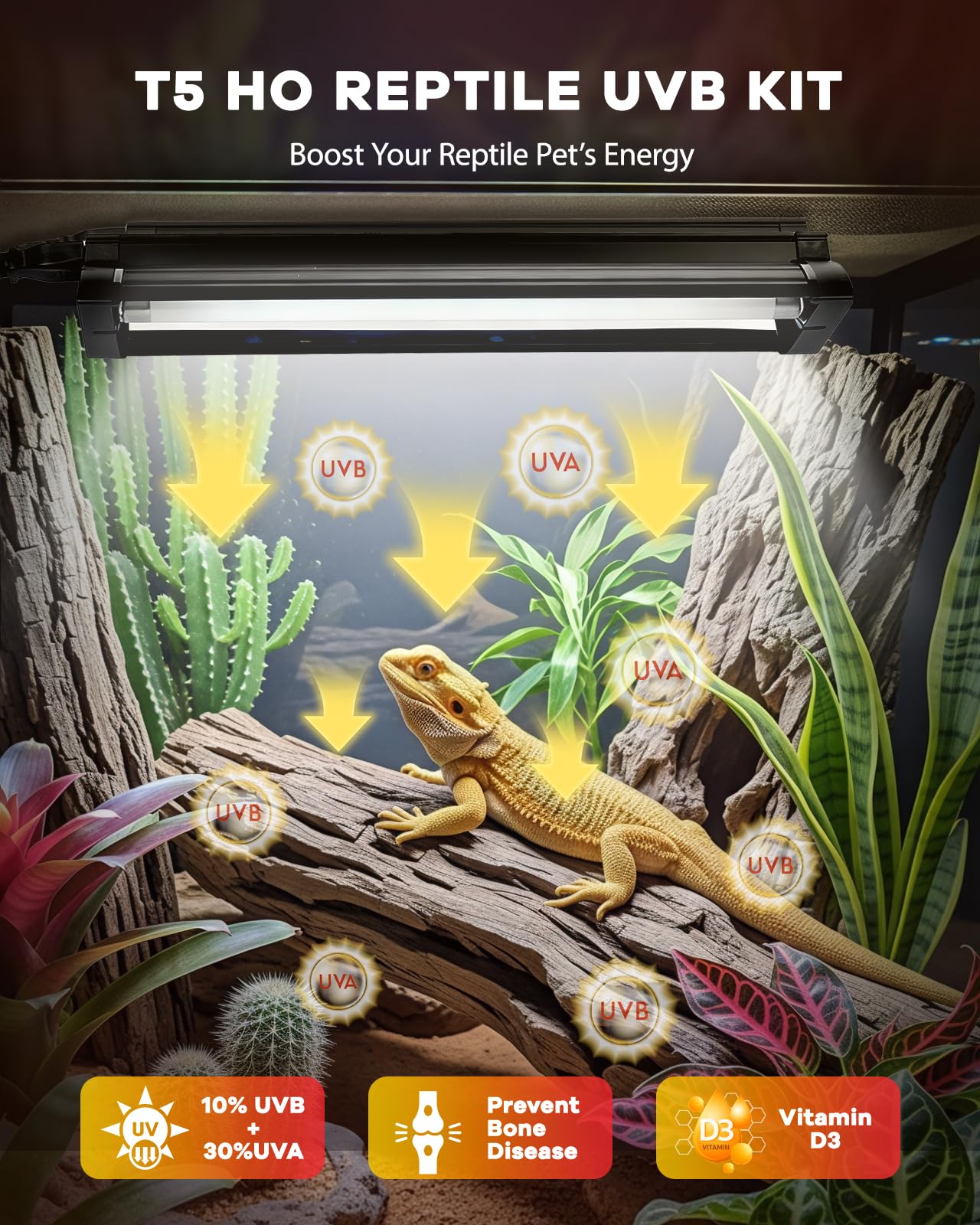 Haceryc UVB test card included for quick UV checks near basking lamp.