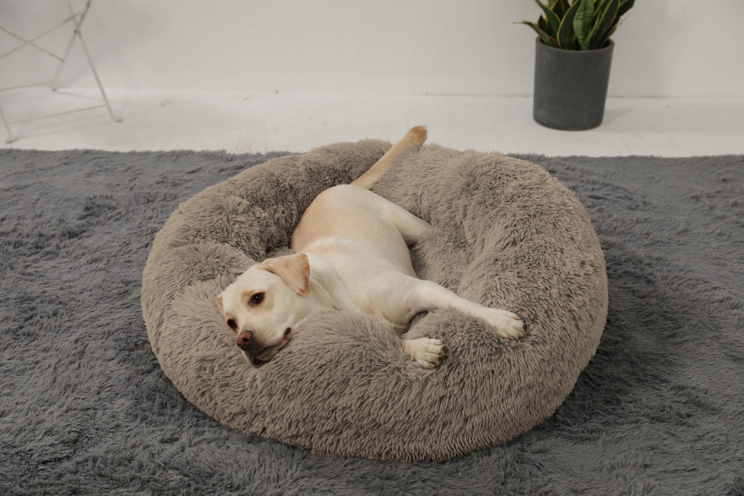 HACHIKITTY large taupe bed fits bigger dogs up to 85 lb.